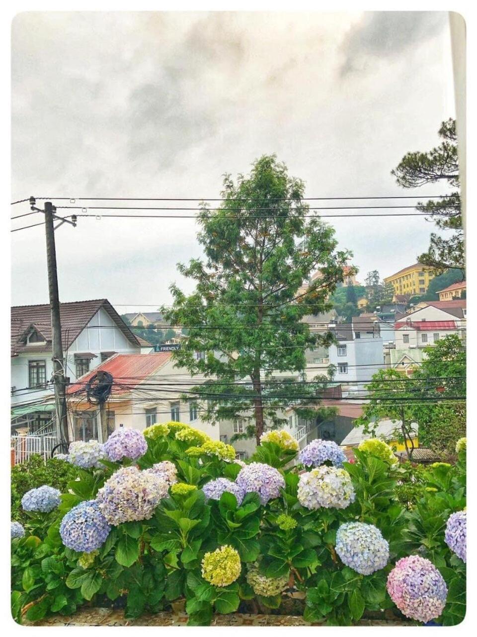 فيلا Biet Thu Trang دالات المظهر الخارجي الصورة